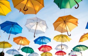 Fiscal sponsorship umbrella relationships